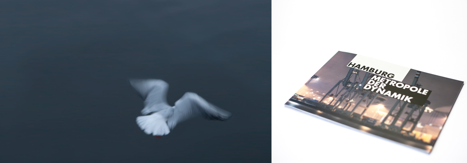 photocollage seagull and hamburg-brochure