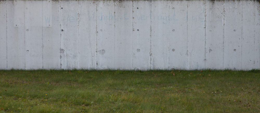 minimalistic horizontal image, seeming two-dimensional, showing a white wall and grass